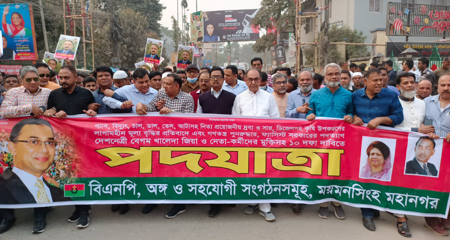 লুটপাটের জন্য আওয়ামী লীগের প্রতিষ্ঠা : মির্জা আব্বাস