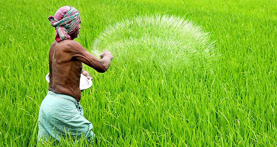 সারের দাম কেজিতে ৫ টাকা বাড়ল