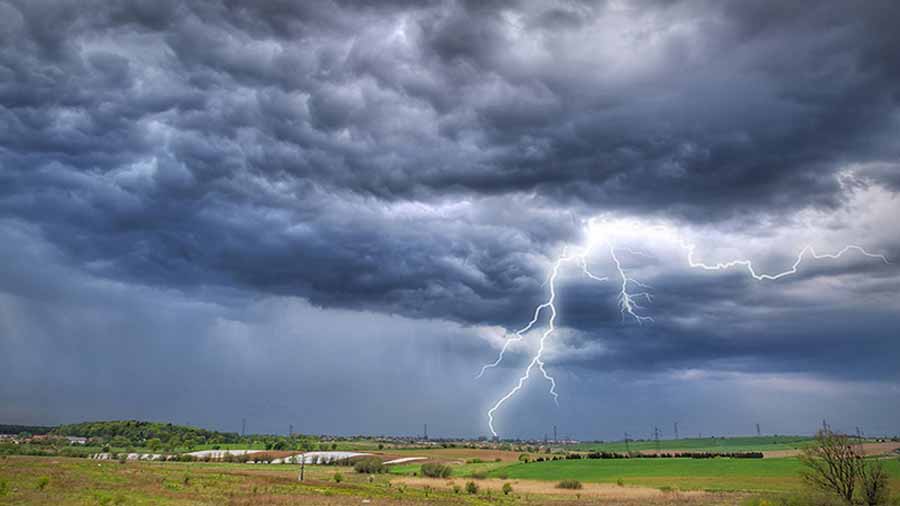 সুনামগঞ্জে হাওরে ধান কাটার সময় বজ্রপাতে ৬ জনের মৃত্যু