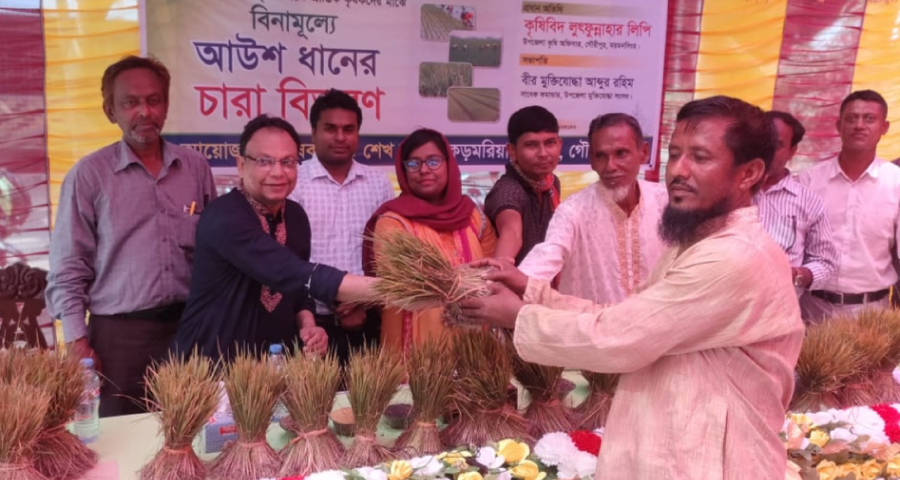 ধান বিক্রি করে আউসের বীজতলা, বিনামূল্যে বিতরণ