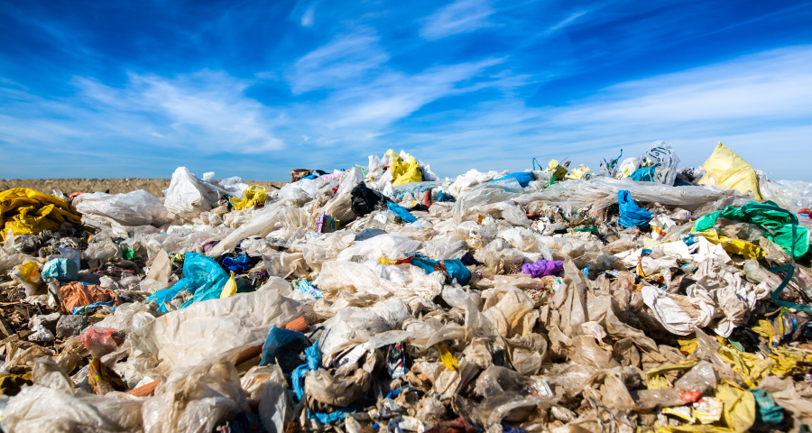 বিশ্ব পরিবেশ দিবস আজ