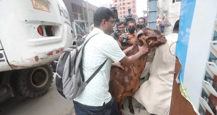 সাদিক অ্যাগ্রোতে চলছে উচ্ছেদ, সরানো হলো ১৫ লাখ টাকার সেই ছাগল