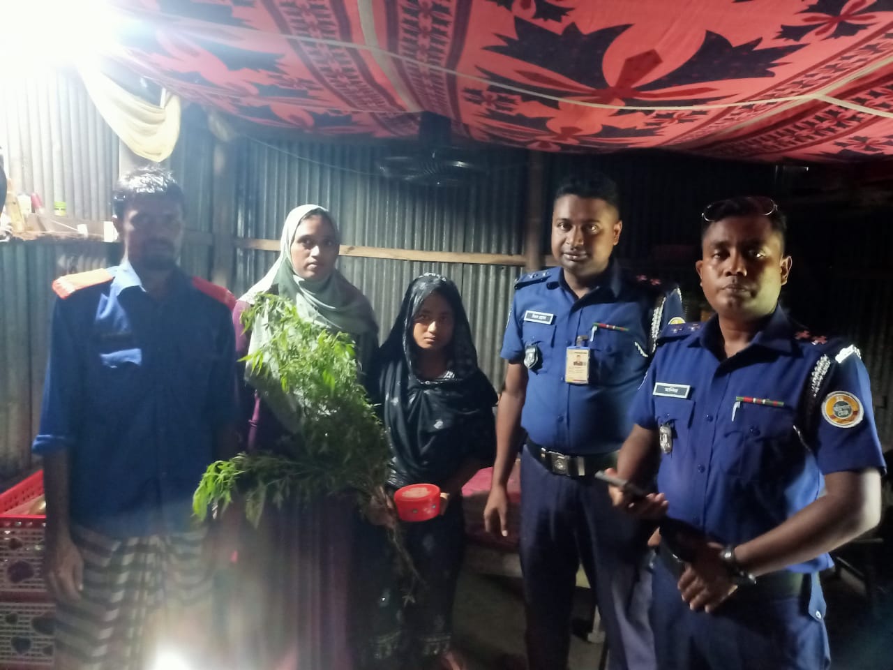 বোরহানউদ্দিনে গাঁজা গাছ সহ আটক স্ত্রী, পলাতক স্বামী